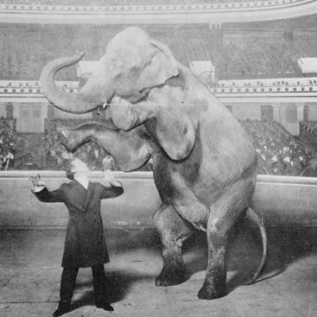 Houdini-y-Jennie-la-elefanta-actuando-en-el-Hippodrome-de-Nueva-York-Library-of-Congress