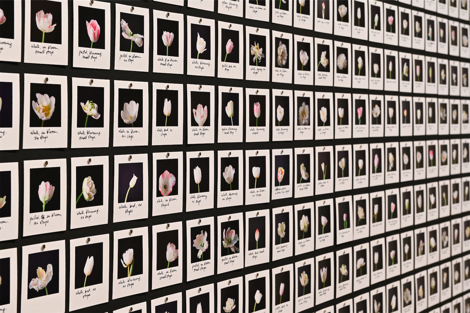 Image of the exhibition