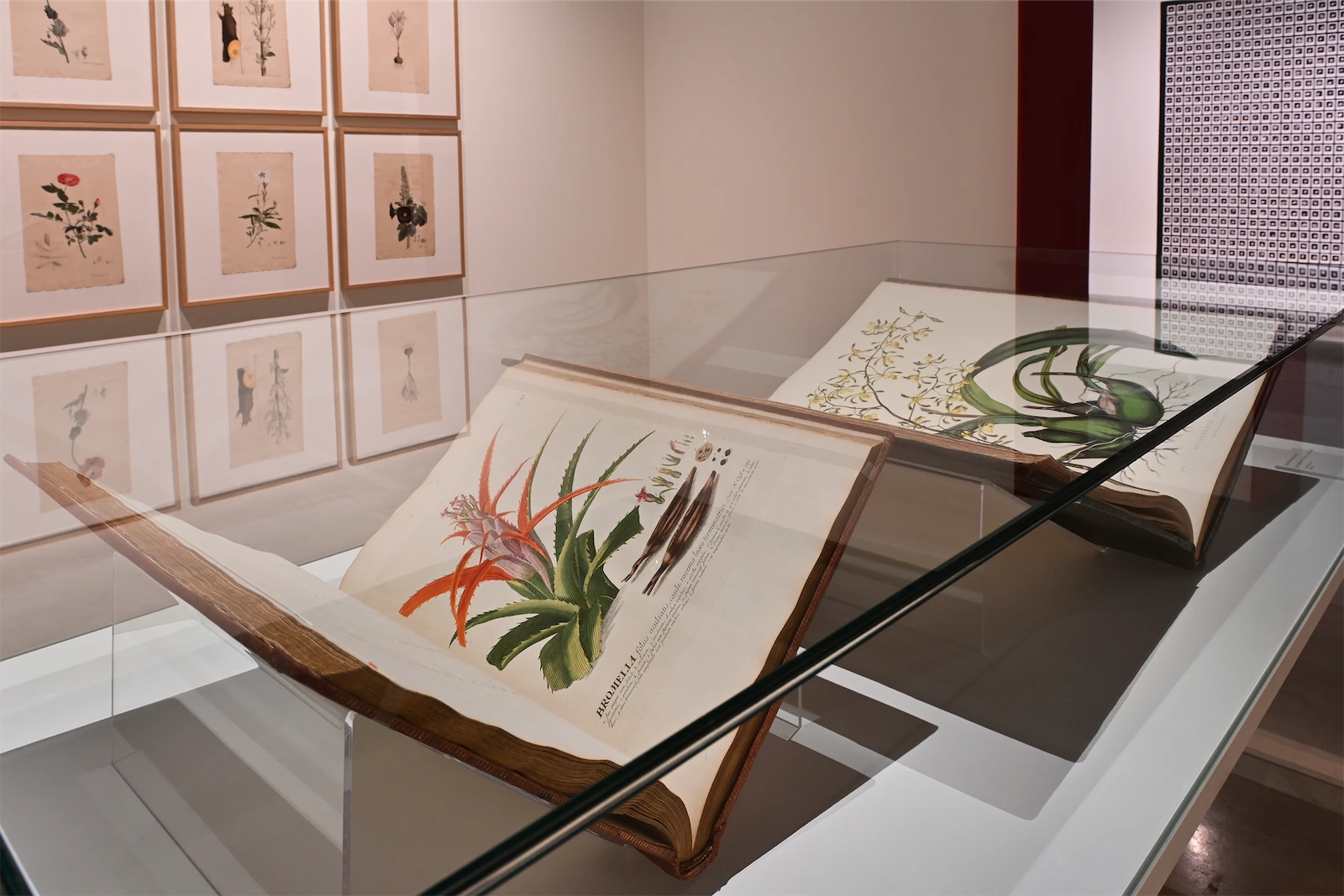 Image of the exhibition