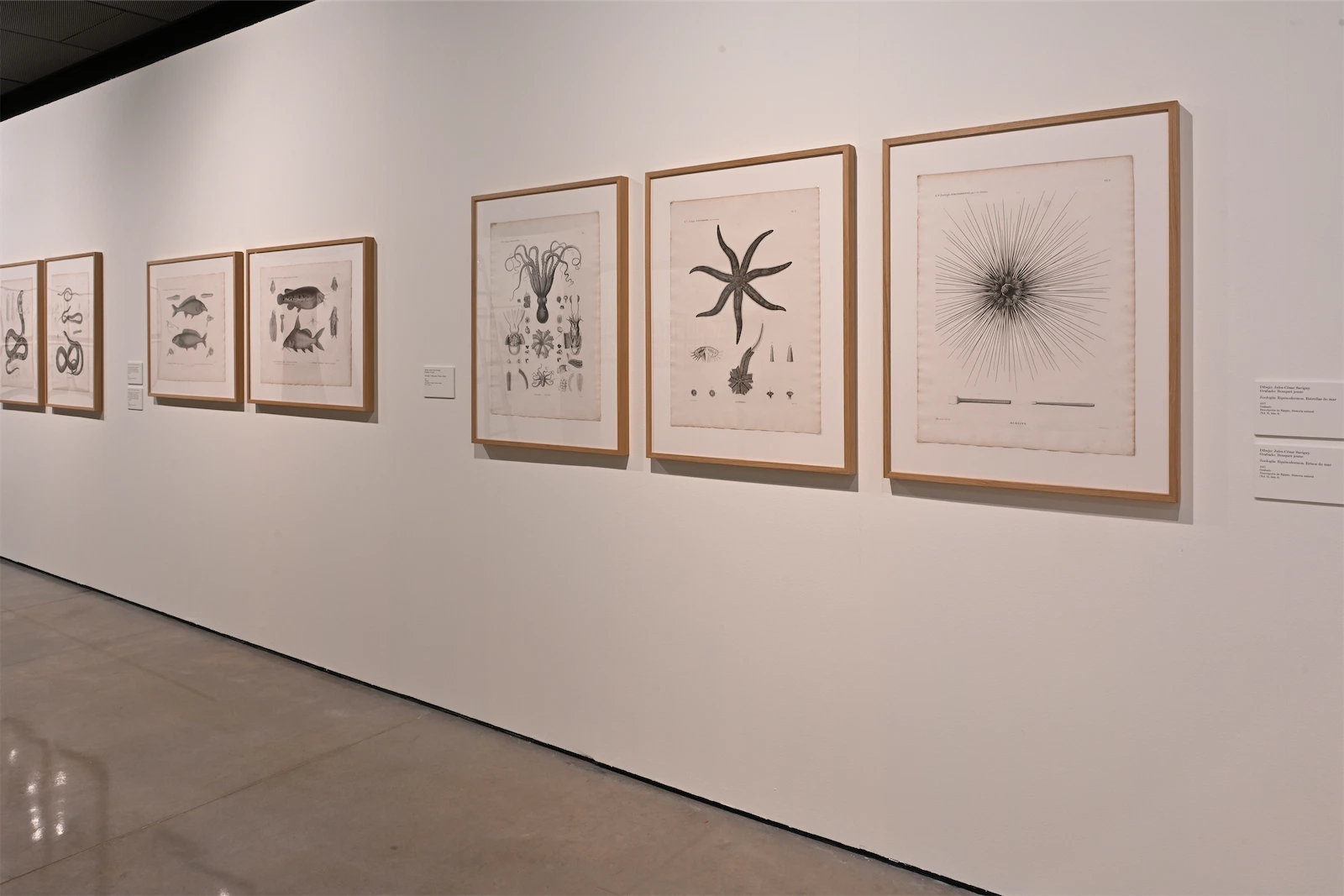 Image of the exhibition