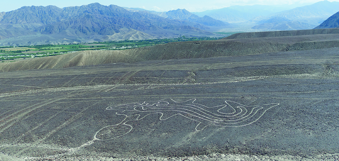 Geoglifo de Nazca (Orca o ballena) Alfonso Casabonne