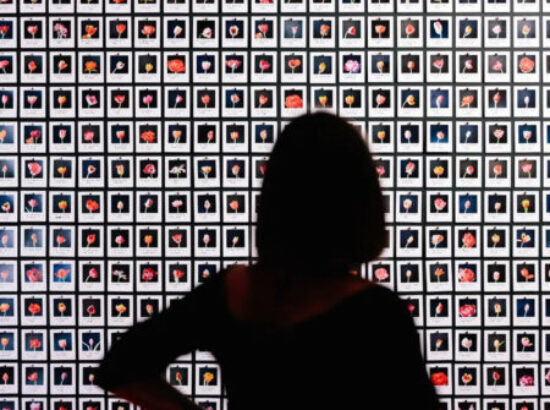 El sueño de la razón, imagen de la instalación de Anna Riedler_Myriad (Tulips)