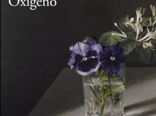 Imagen de portada del libro 'Oxígeno'