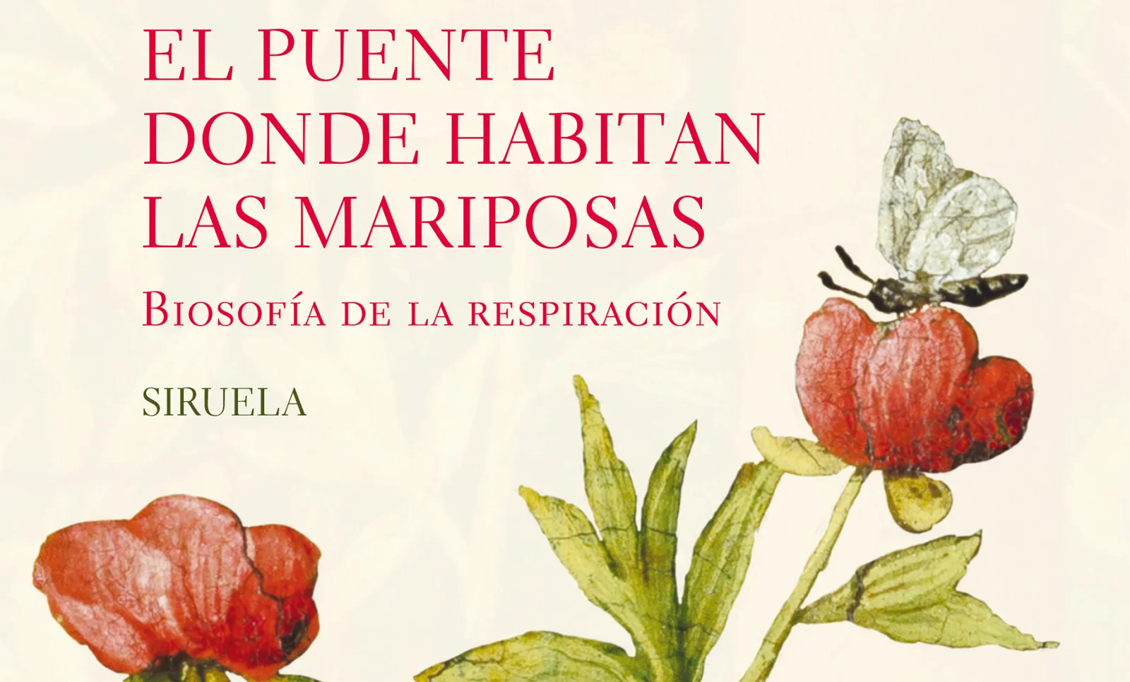 Portada del libro de Nazareth Castellanos ‘El puente donde habitan las mariposas’. Recorte