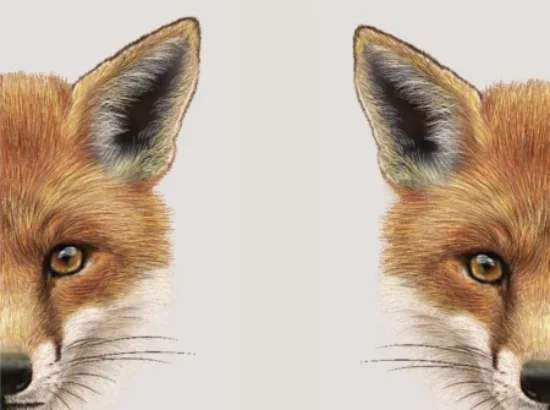 Portada del libro 'En todo hay una grieta y por ella entra la luz'