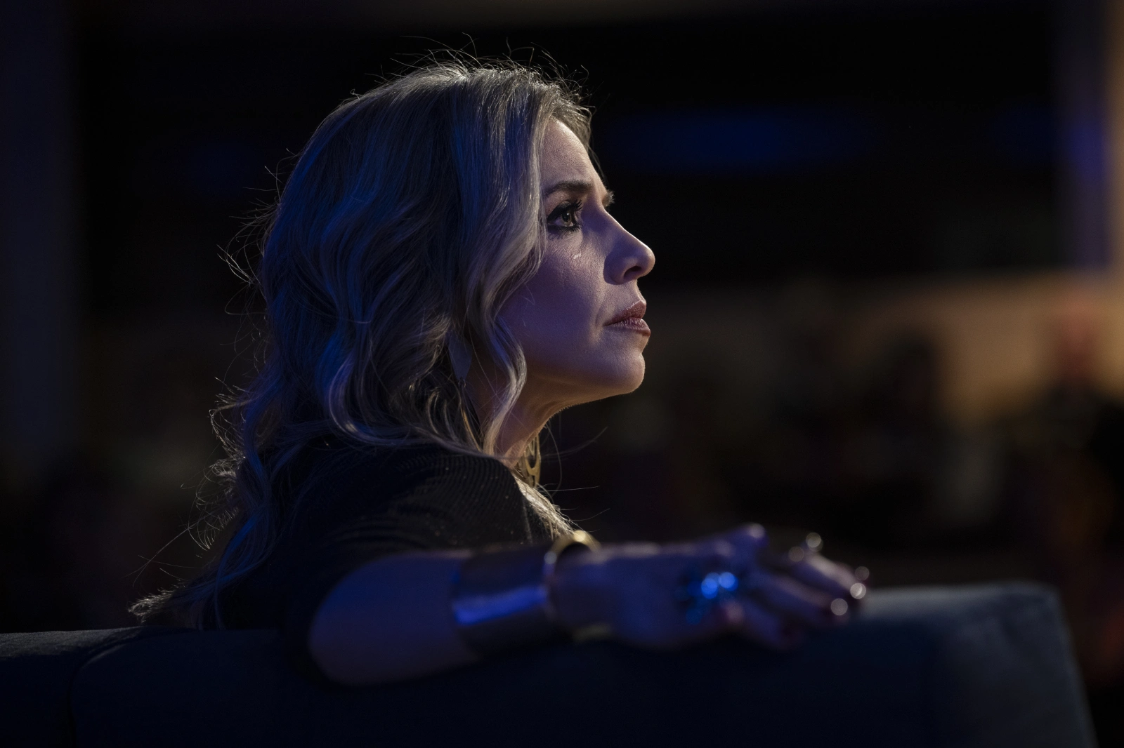 Imagen de la presentación de 