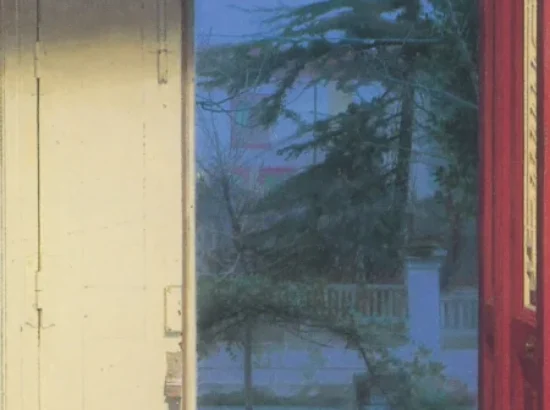 Recorte de la portada del libro 