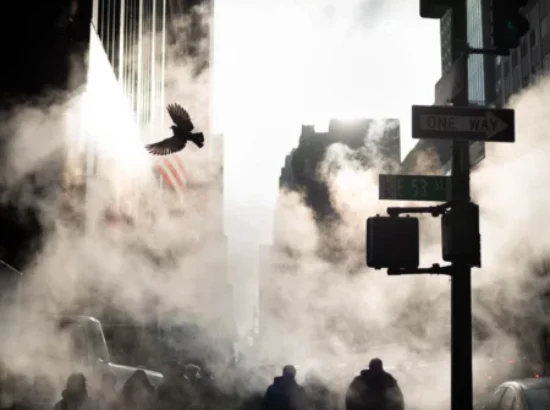 Imagen de cabecera del Encuentro con Phil Penman