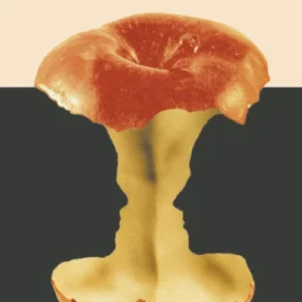 Recorte de la portada del libro de La Carne