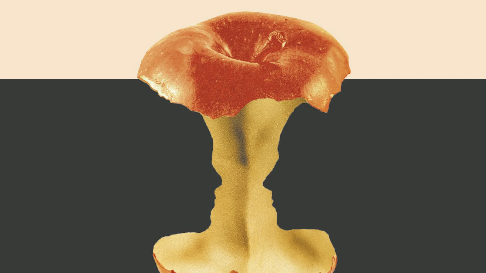Recorte de la portada del libro de La Carne | Espacio Fundación Telefónica Recorte de la portada del libro de La Carne